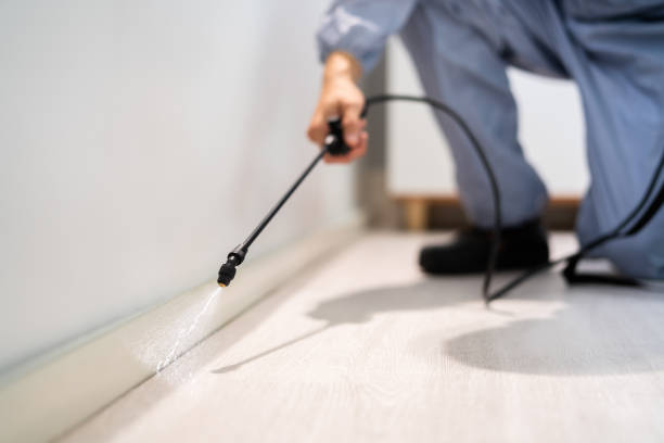 Rodent Entry Point Assessment in Dania Beach