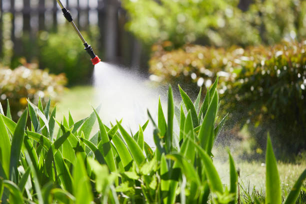 Tamper-Resistant Bait Stations for Rodents in Dania Beach