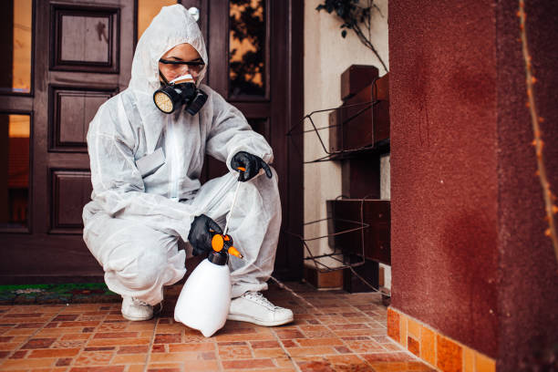 Attic and Crawl Space Rodent Treatment in Dania Beach